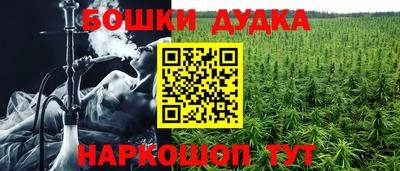 спайс Будённовск